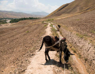 아프가니스탄의 운하 주변. Photo: WFP/Arete/Andrew Quilty